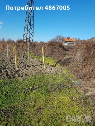 Продавам ПИ в село Кипра, снимка 2 - Парцели - 55057202