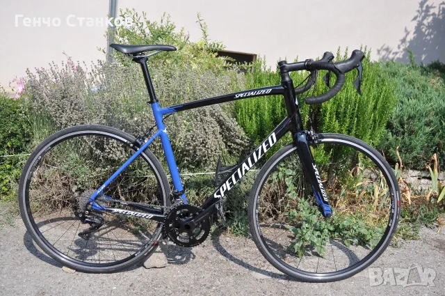 Specialized Allez Elite 2021  - шосеен велосипед с карбонова вилка