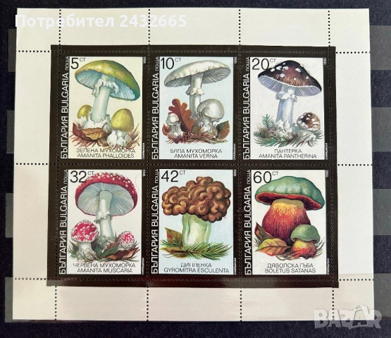 2414а. България 1990 /91 - БК 3901 /06: “ Флора. Отровни гъби. “, **, MNH