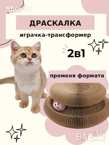 Драскалка-играчка-трансформер 2в1 за котки