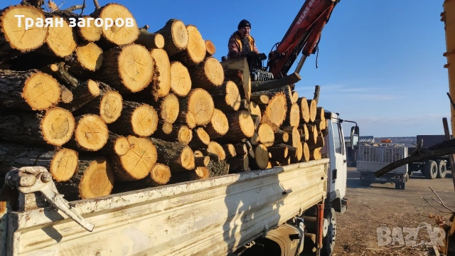 дърва за огрев метровки и нацепени от Darvari.com, снимка 4 - Дърва за огрев - 54441186