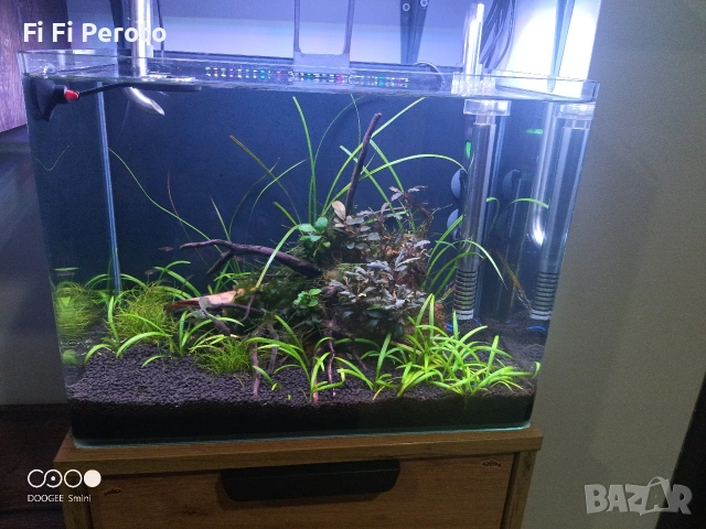 Аквариум цял или поотделно