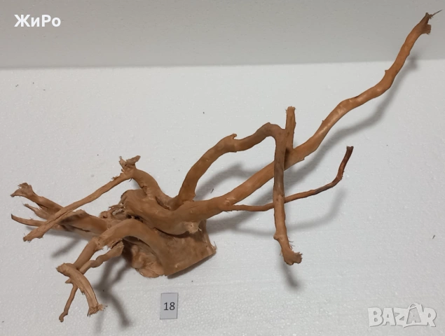 Корен от Азалия /декорация/ 18, снимка 2 - Други - 48936428