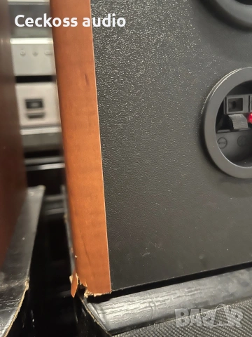 Тонколони SONY SS-CCPZ3, снимка 7 - Тонколони - 54979243