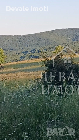 Отлична Инвестиционна Възможност, снимка 4 - Парцели - 55119664