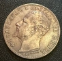 5 лева 1894 , снимка 2