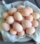 Продавам двумесечни пилета, снимка 3