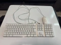 Клавиатура и мишка Apple USB , снимка 1