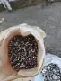 капси и халки, занаятчийски, снимка 1