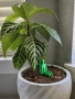 Meccha Chameleon - Фигури, снимка 3