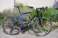 Specialized Allez Elite 2021  - шосеен велосипед с карбонова вилка, снимка 1