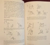 The Tao of Gung Fu, снимка 8