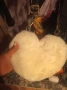 НОВО дамски чанти, снимка 2