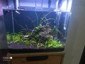 Аквариум цял или поотделно, снимка 1