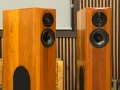 Audio Physic Virgo 3 mk1 / Тонколони, снимка 3