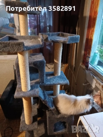 Катерушка , снимка 2 - За котки - 54709752