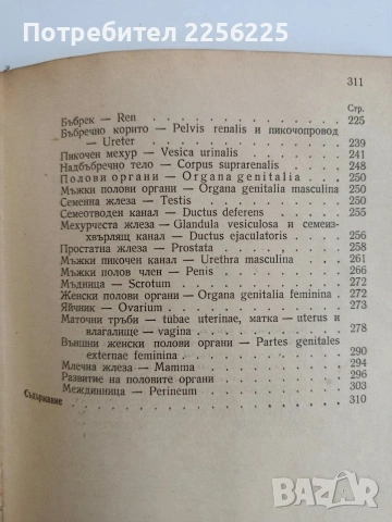 Анатомия на човека - сърце и вътрешни органи/ артерии, вени и лимфни съдове, снимка 7 - Специализирана литература - 54439820