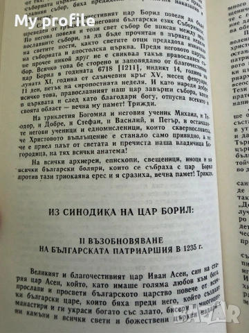 Исторически съчинения Стара българска литература , снимка 3 - Антикварни и старинни предмети - 54615879