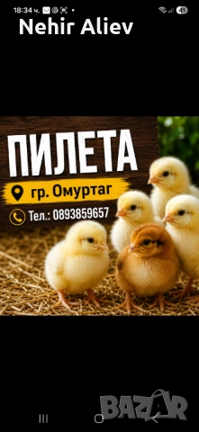Продавам  пилета 