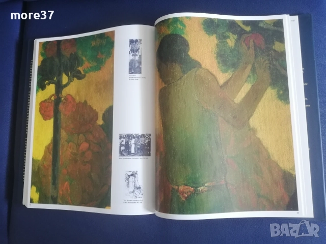 Пол Гоген-рядка книга, снимка 10 - Изкуство, музика, кино и фотография - 55314834