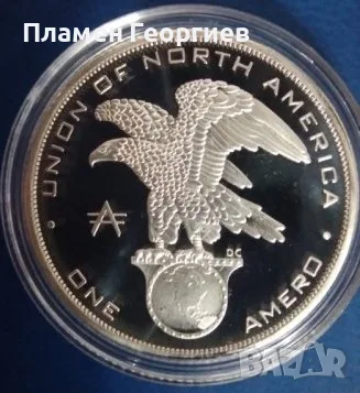 обединена Америка .Плакет, снимка 2 - Нумизматика и бонистика - 55615150