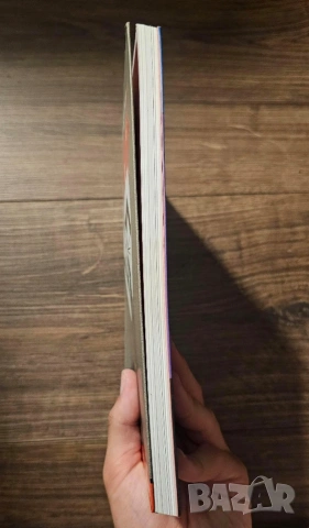 MAUS I/МАУС 1 комикс, снимка 4 - Списания и комикси - 54258051