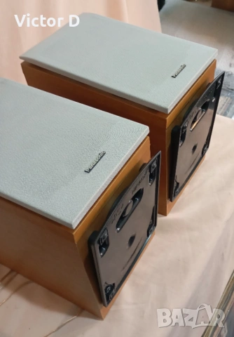 Panasonic SB-PM41 - Тонколони , снимка 7 - Тонколони - 54368310