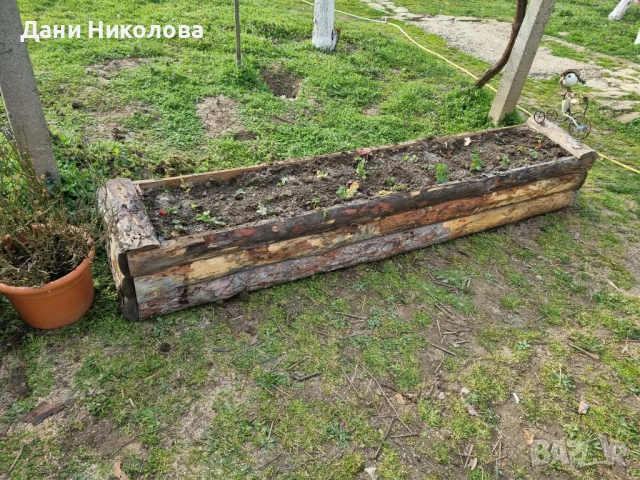 Дървена кашпа, снимка 6 - Саксии и кашпи - 53993047