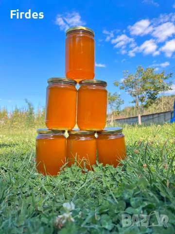 100% Натурален БИО Мед от Производител (Реколта 2026), снимка 2 - Пчелни продукти - 55513444