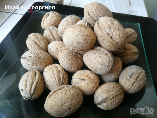 Продавам орехи