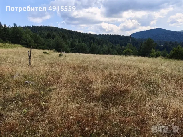Парцел село Лилково 