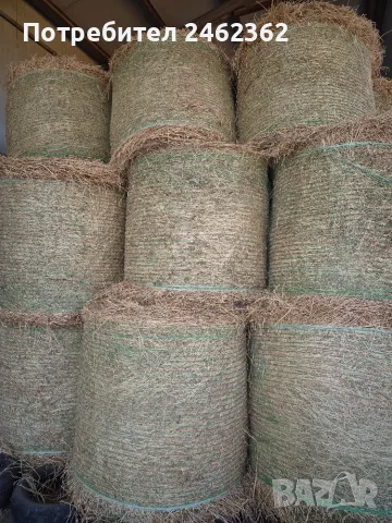 Продавам РУЛОННИ БАЛИ ЛЮЦЕРНА