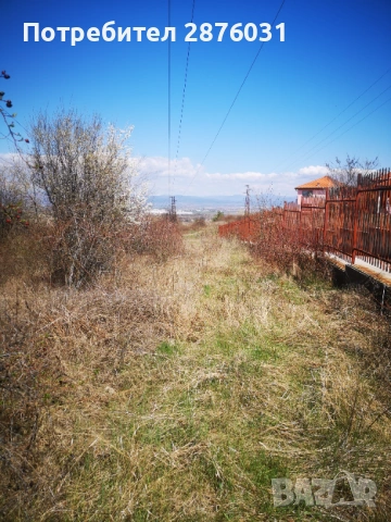 УПИ-5000 кв.м. Банкя, снимка 4 - Парцели - 48762608