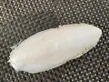 Черупка на сепия., снимка 1