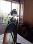 Италианска спортна надцевка , снимка 5