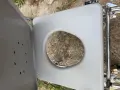 Тоалетен инвалиден стол, снимка 3