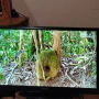 32" телевизор Sang, снимка 7
