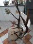 голям симетричен трофей, снимка 2