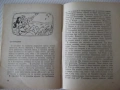 Книга "Оранжев ягуар - Димитър Петров" - 64 стр., снимка 5