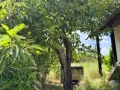 Масивна сграда с парцел, гараж,депо, снимка 7