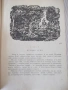 Книга "Бялата ръкавица - Майн Рид" - 432 стр., снимка 4