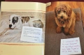 Dog Shaming, снимка 11