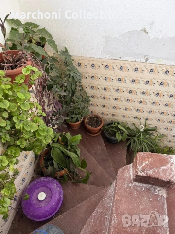 Двуетажна къща в село Брод, снимка 5 - Къщи - 53962246