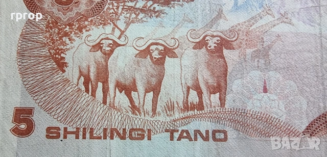 Африка. Кения. 5 шилинга.1982 година ., снимка 3 - Нумизматика и бонистика - 39924346