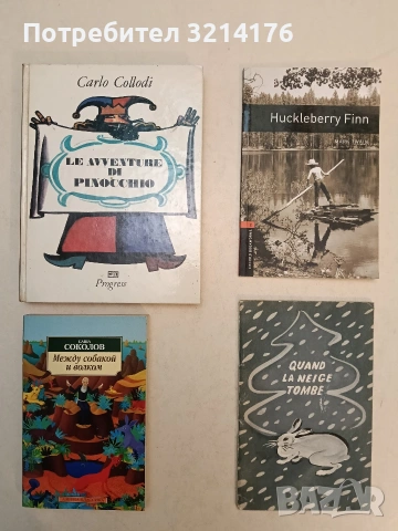 Huckleberry Finn - Mark Twain (2013, отлично състояние), снимка 1 - Детски книжки - 54389800