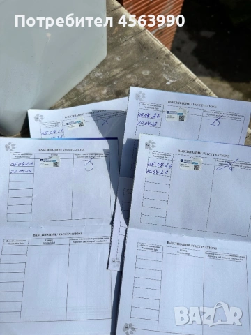 Tricvetni gonceta, снимка 2 - Гонче - 54114272