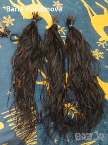 200 kicura cerna 70kicura rusa