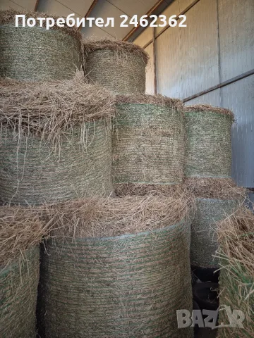 Продавам РУЛОННИ БАЛИ ЛЮЦЕРНА, снимка 2 - За селскостопански - 55321811
