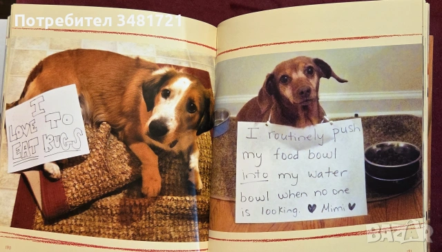 Dog Shaming, снимка 10 - Други - 55064833