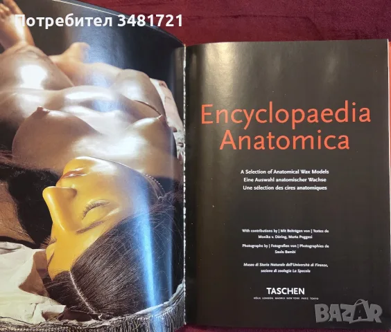 Encyclopaedia Аnatomica, снимка 2 - Специализирана литература - 55361424